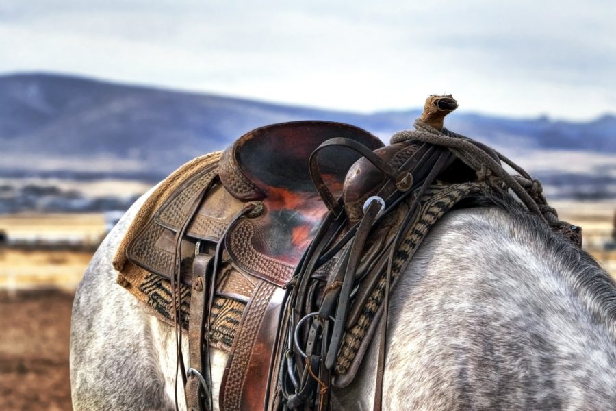 Montura western caballo ruano
